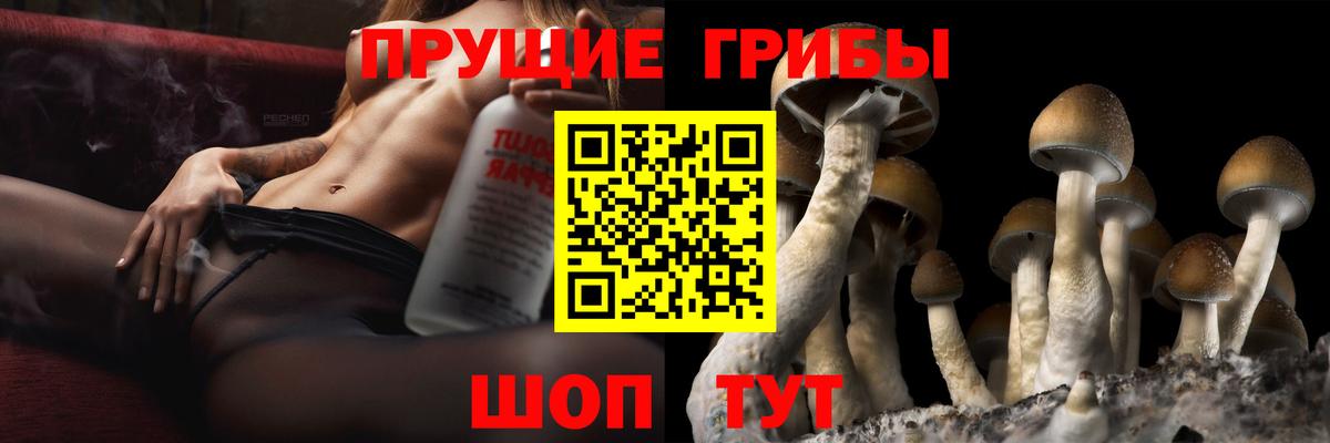Галлюциногенные грибы GOLDEN TEACHER  Вход с VPN  Псилоцибиновые грибы мухоморы  Артёмовский 